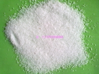 �۱�ϩ���� �߷���������